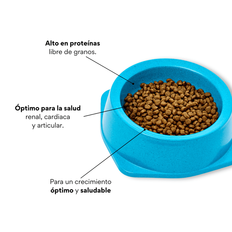 Alimento Para Gato - Kanu Nativo Mantenimiento Gatitos 1 LB - {{ Kanu Pet }}