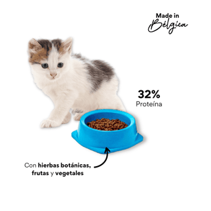 Alimento Para Gato - Kanu Nativo Mantenimiento Gatitos 1 LB - {{ Kanu Pet }}