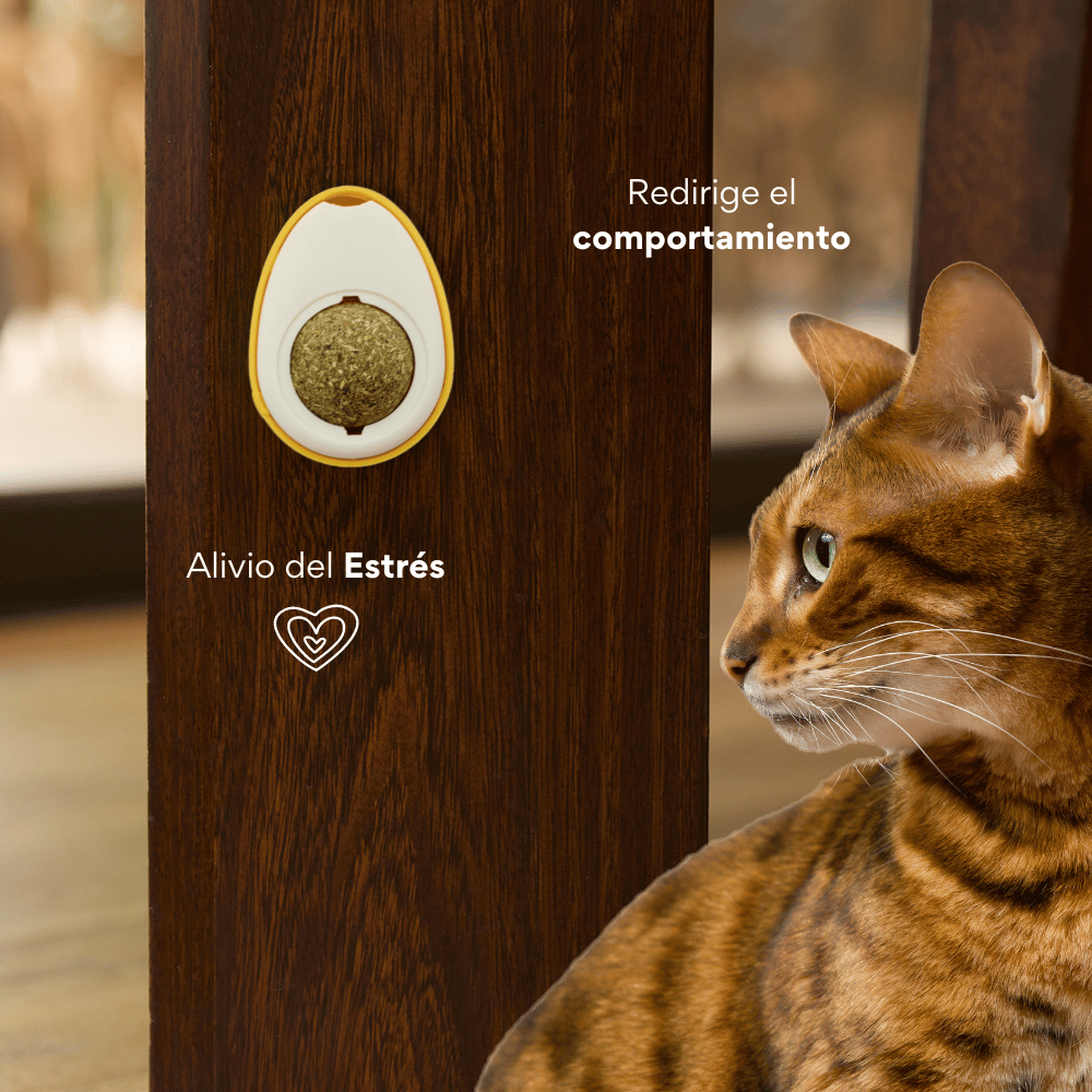 Kanu Pet Rasca Lenguas Huevo Con Catnip Para Gatos - {{ Kanu Pet }}