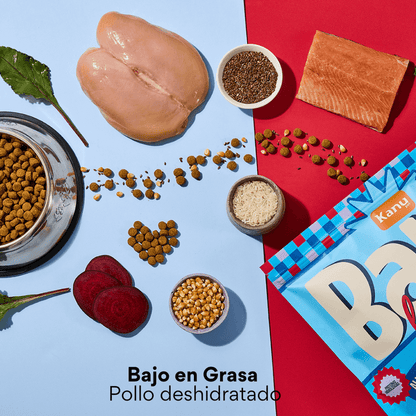 Alimento Seco Kanu Pet Bark Light para perro adulto todas las razas sabor a Pollo, Bajo en Grasa - {{ Kanu Pet }}