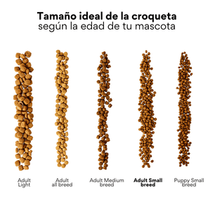 Alimento Seco Kanu Pet Bark Small Bites para Cachorros de Razas Pequeñas Pollo - {{ Kanu Pet }}