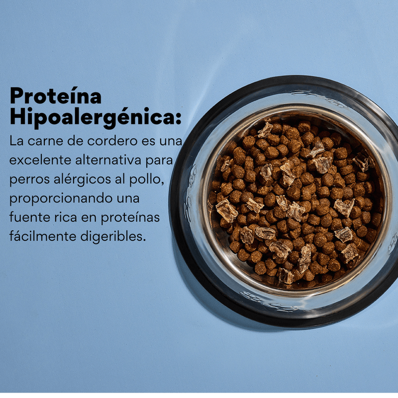 Alimento seco Nativo Bites Cordero Kanu Pet para cachorros - {{ Kanu Pet }}