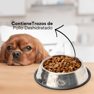Alimento seco para perro adulto Nativo Small Bites Pollo Kanu Pet x 2 Kg - {{ Kanu Pet }}