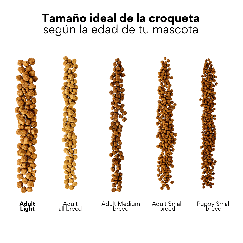 Alimento seco Kanu Pet Bark Senior para perro adulto mayor sabor a Pollo y Salmón - {{ Kanu Pet }}