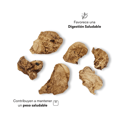 Snack Pulmón de Cerdo Deshidratado Kanu Pet para Perros en Frasco, Un Solo ingrediente 100% natural - {{ Kanu Pet }}