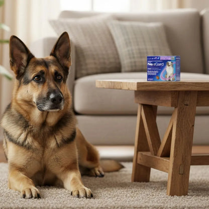 Antipulgas Nexgard para Perros  L de 15 a 30 Kg Sabor a Carne
