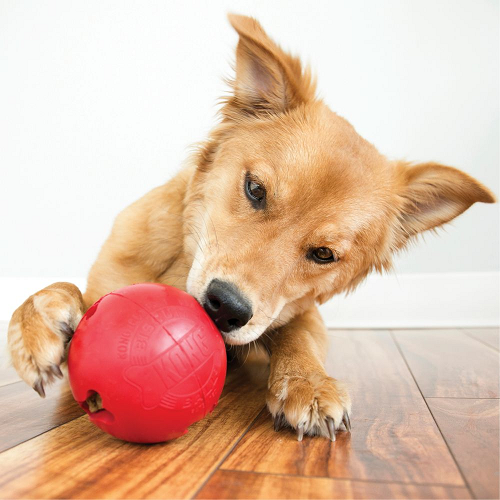 Pelota caucho kong porta pasab para perro
