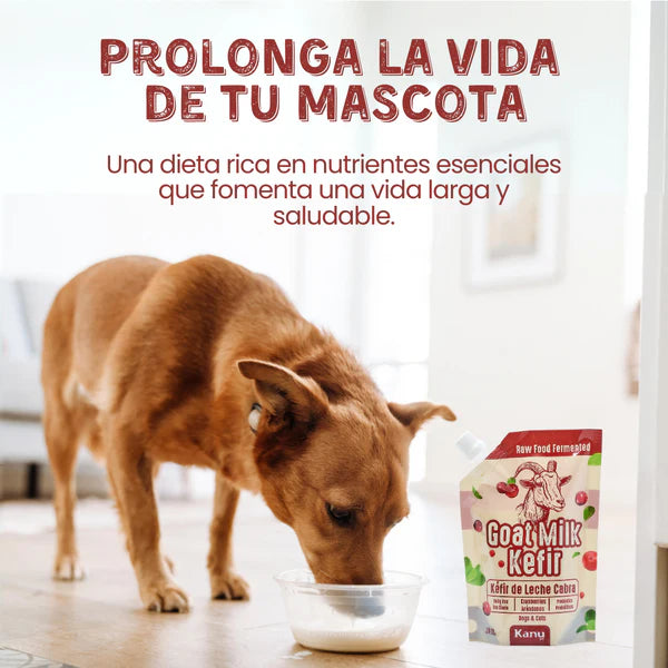 Suplemento Kéfir de Leche de Cabra Kanu Pet para Perro y Gato Arándanos 100% Natural