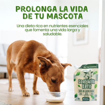 Suplemento Kéfir de Leche de Cabra Kanu Pet para Perro y Gato Arándanos 100% Natural