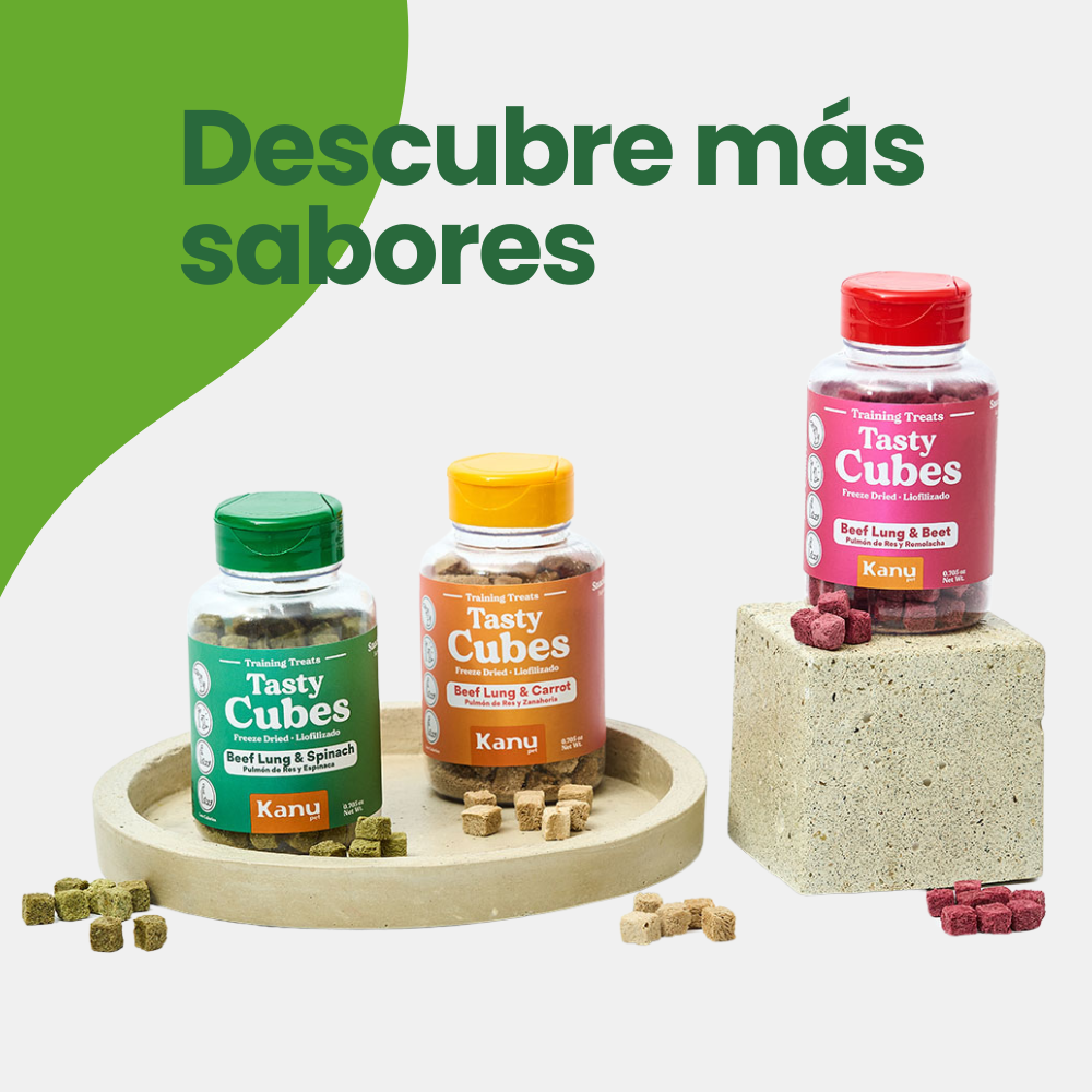 Kanu Pet Tasty Cubes de Espinaca Liofilizada para Perros, 20 g - Ideales para Entrenar, Bajas en Calorías y Llenas de Sabor