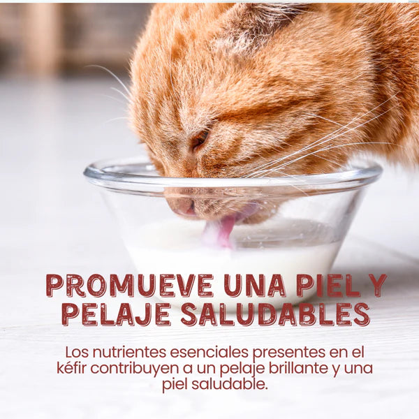 Suplemento Kéfir de Leche de Cabra Kanu Pet para Perro y Gato Arándanos 100% Natural