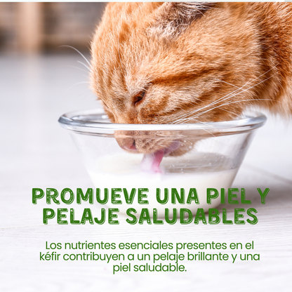 Suplemento Kéfir de Leche de Cabra Kanu Pet para Perro y Gato Arándanos 100% Natural