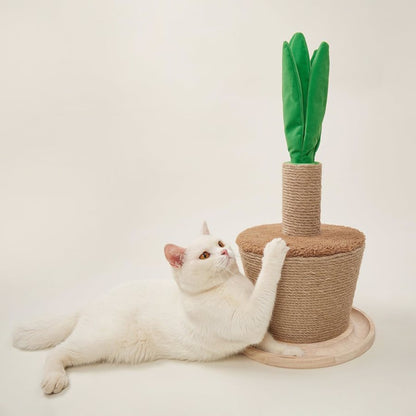 Rascador Maceta Kanu Pet para Gatos