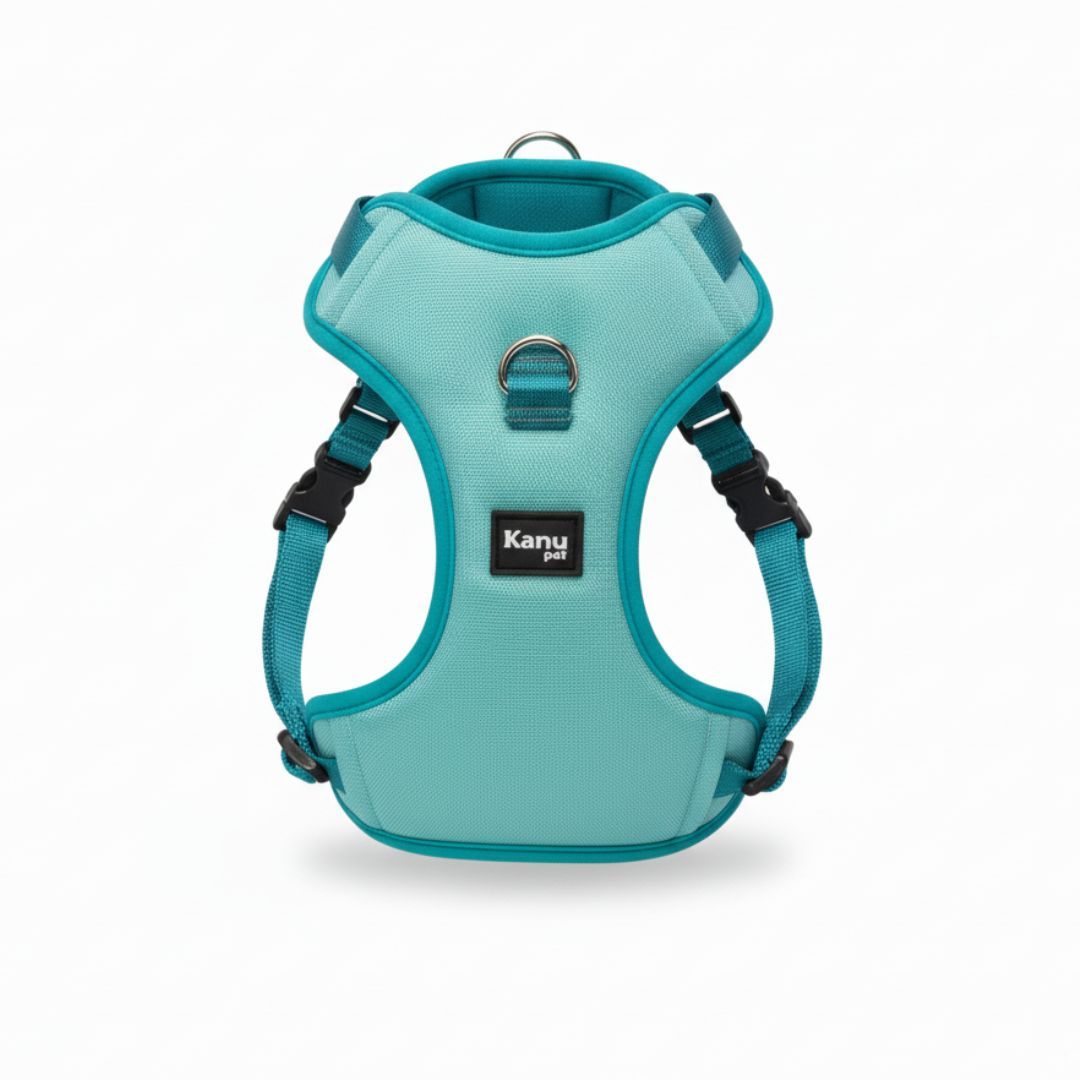 Pechera Verde Aguamarina Kanu Pet para Perro