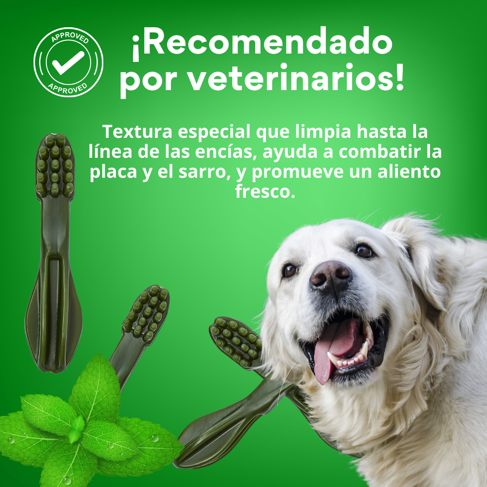 Snack Cepillo Dental Small Kanu Pet Dental Fresh Para Perros Sabor a Menta - {{ Kanu Pet }}