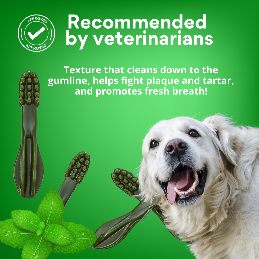 Snack Cepillo Dental Medium Kanu Pet Dental Fresh Para Perros Sabor a Menta - {{ Kanu Pet }}
