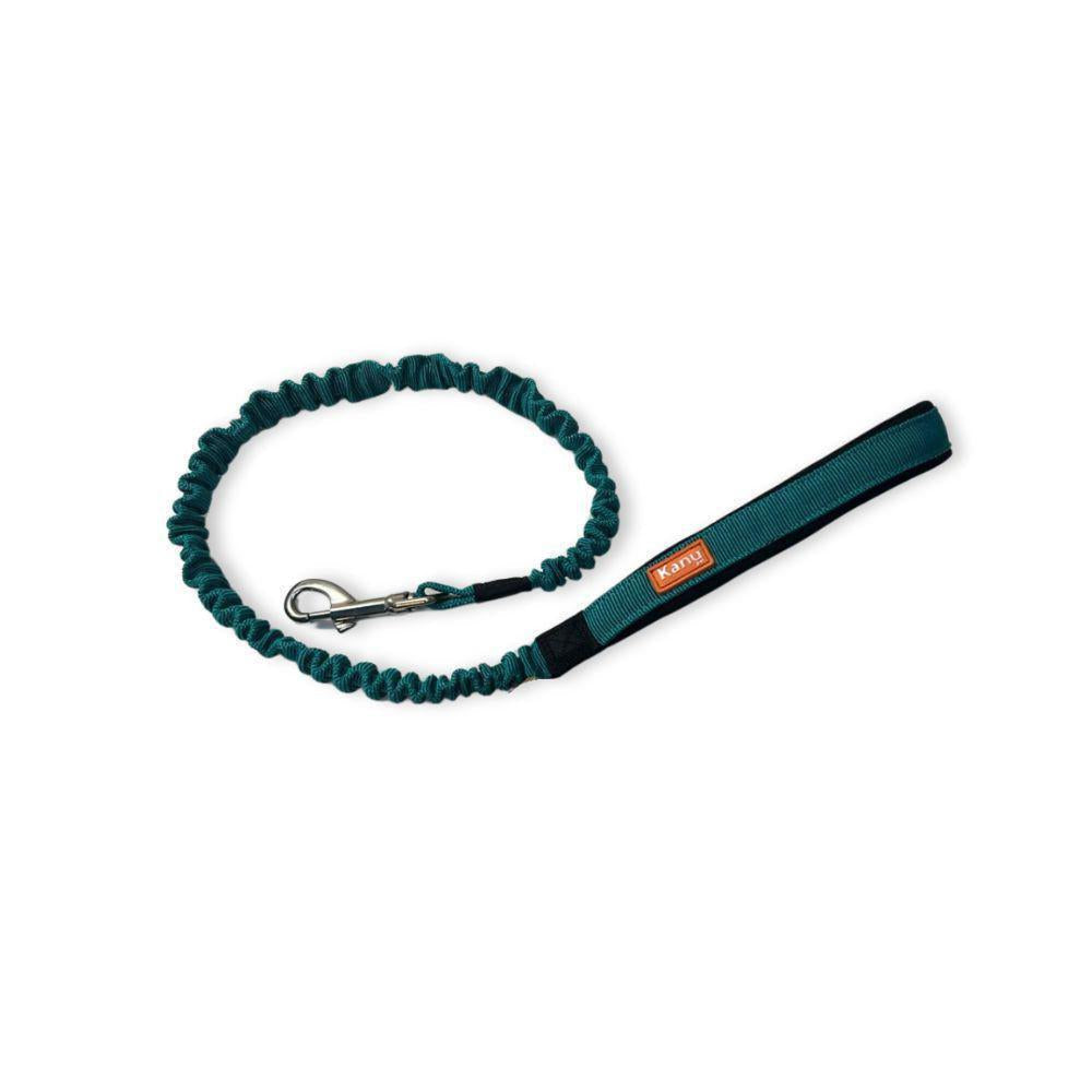 Correa Anti choque Kanu Pet para Perro Verde Jade