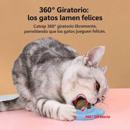 Rasca Lenguas Forma Gato con Catnip Sabor Menta Kanu Pet Para Gatos
