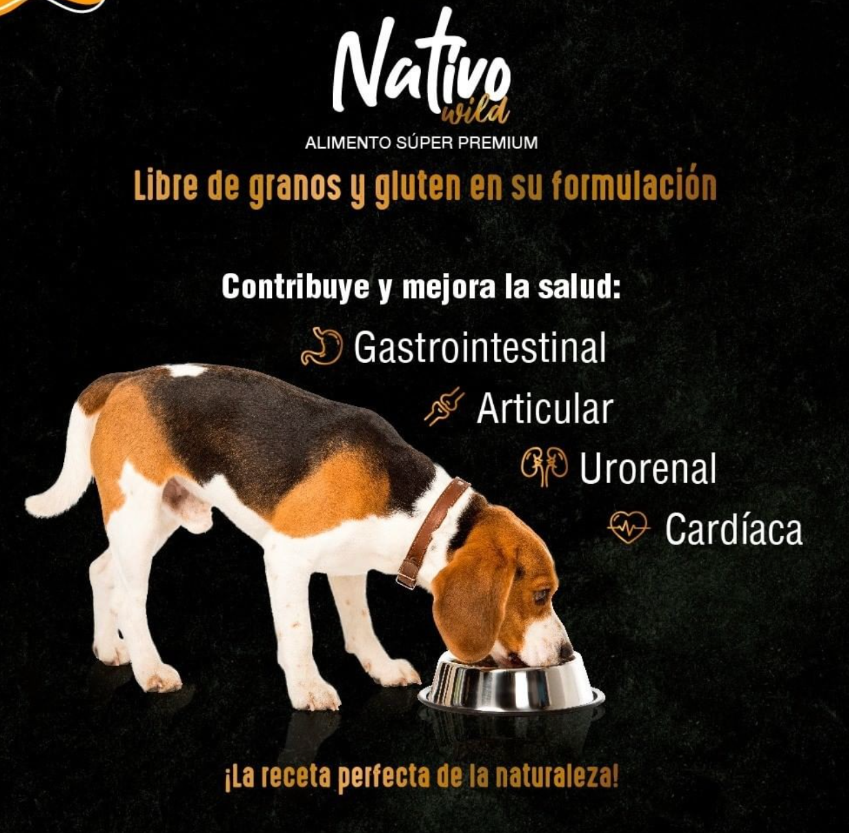 Alimento Grain Free para Perro Adulto Kanu Nativo Wild - {{ Kanu Pet }}