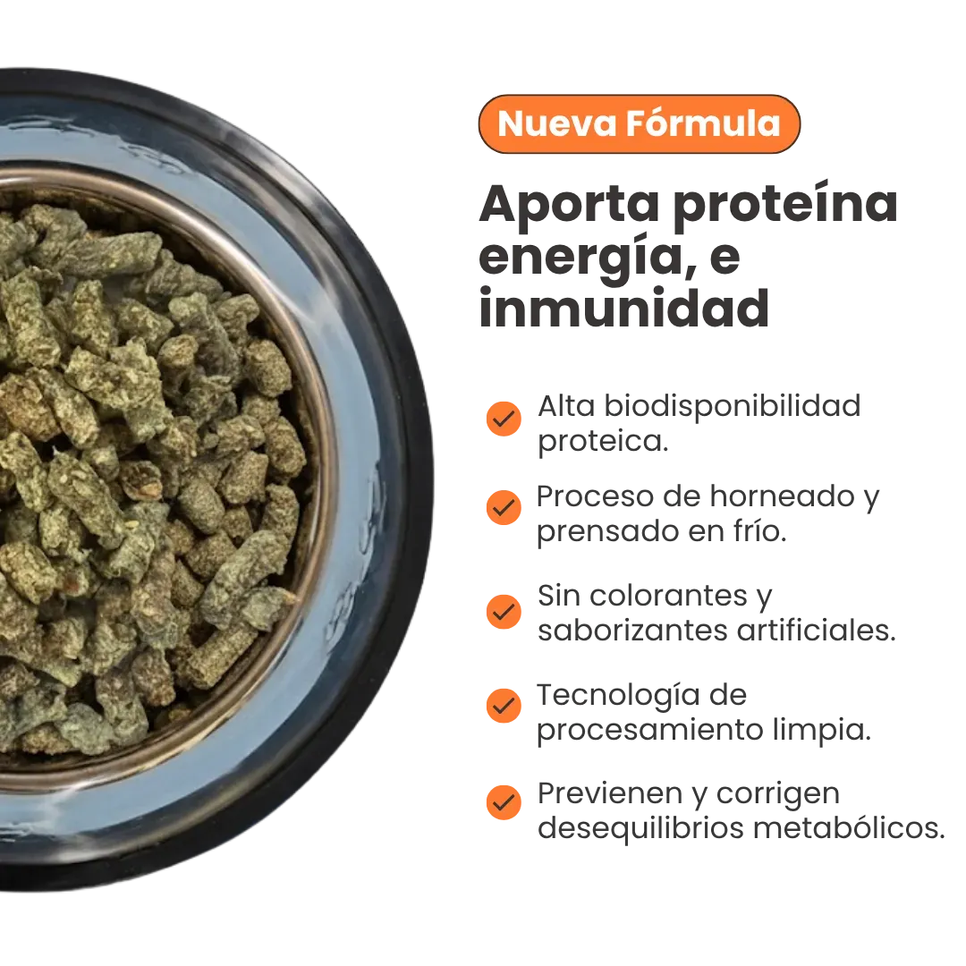 Alimento Seco Nativo Oven-Baked Carne / Cerdo / Salmón Kanu Pet para Perros Cachorros y Adultos