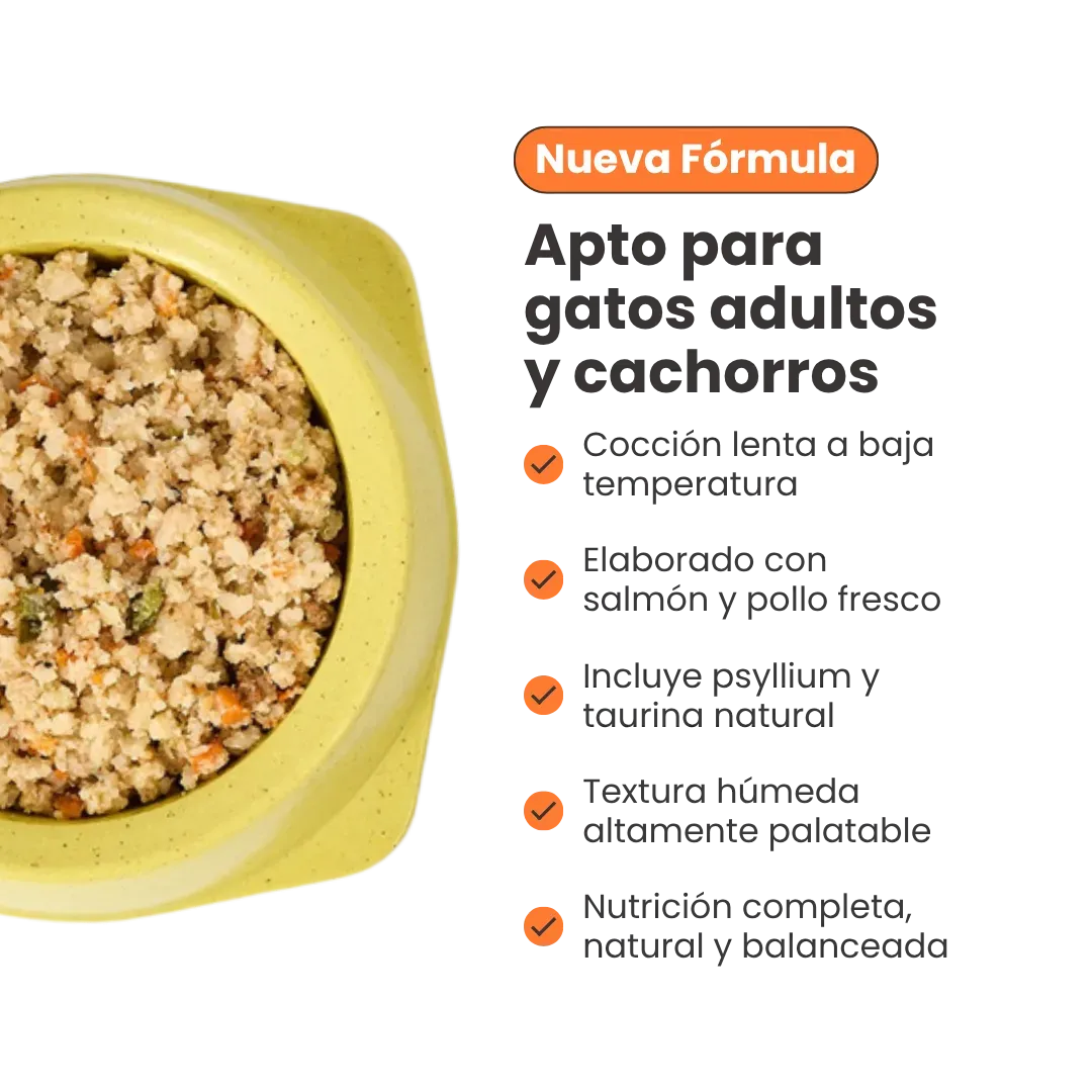 Alimento Congelado Nativo Fresh Salmón Kanu Pet para Gato Adulto y Cachorro
