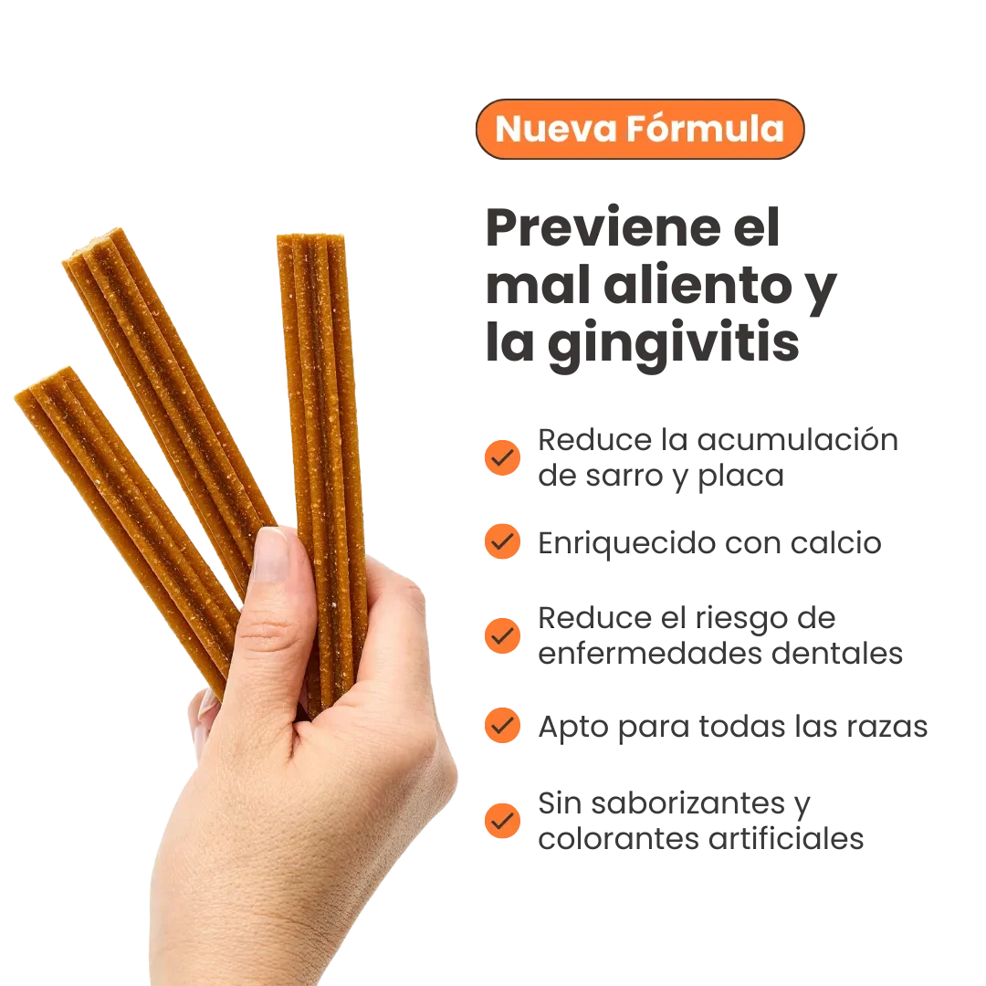 Snack Dent Star para la placa y el sarro Kanu Pet Sabor a Menta para Perro