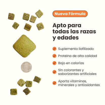 Kanu Pet Tasty Cubes de Espinaca Liofilizada para Perros, Ideales para Entrenar, Bajas en Calorías y Llenas de Sabor