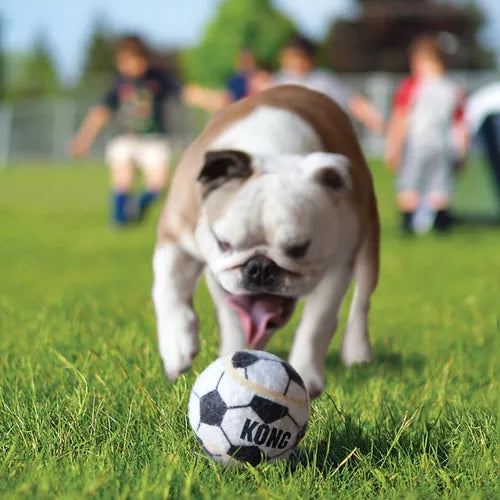 Juguete Kong Pelota Sport Para Perro XS