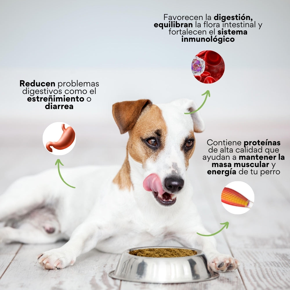 Suplemeneto K-Booster de Res Liofilizado Kanu Pet para perros