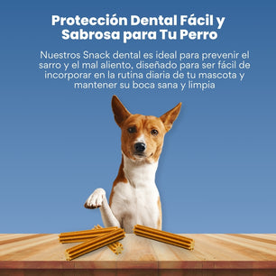 Snack para la placa y el sarro Kanu Pet Dent Star Sabor a Menta  para Perro x 3 Unds