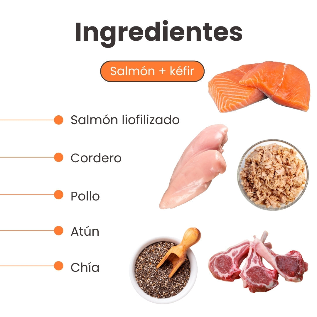 Alimento Seco Nativo K-Booster Salmón, Pollo, Cordero y Atún Kanu Pet para Perro Adulto