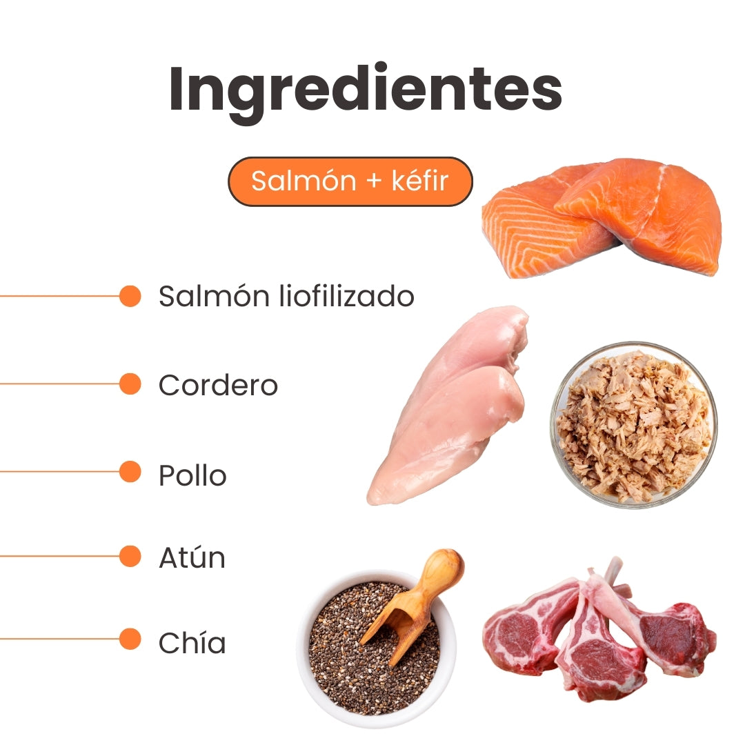 Alimento Seco Nativo K-Booster Salmón, Pollo, Cordero y Atún Kanu Pet para Perro Cachorro
