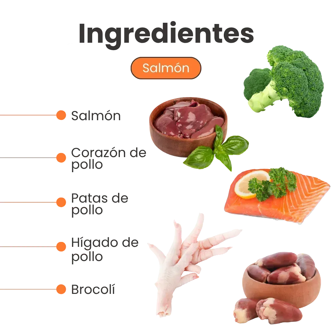 Alimento Húmedo Pate de Salmón Kanu Pet para Gatos