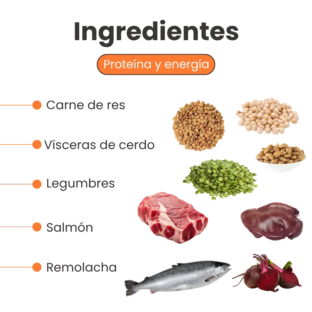 Alimento Seco Nativo Oven-Baked Carne / Cerdo / Salmón Kanu Pet para Perros Cachorros y Adultos