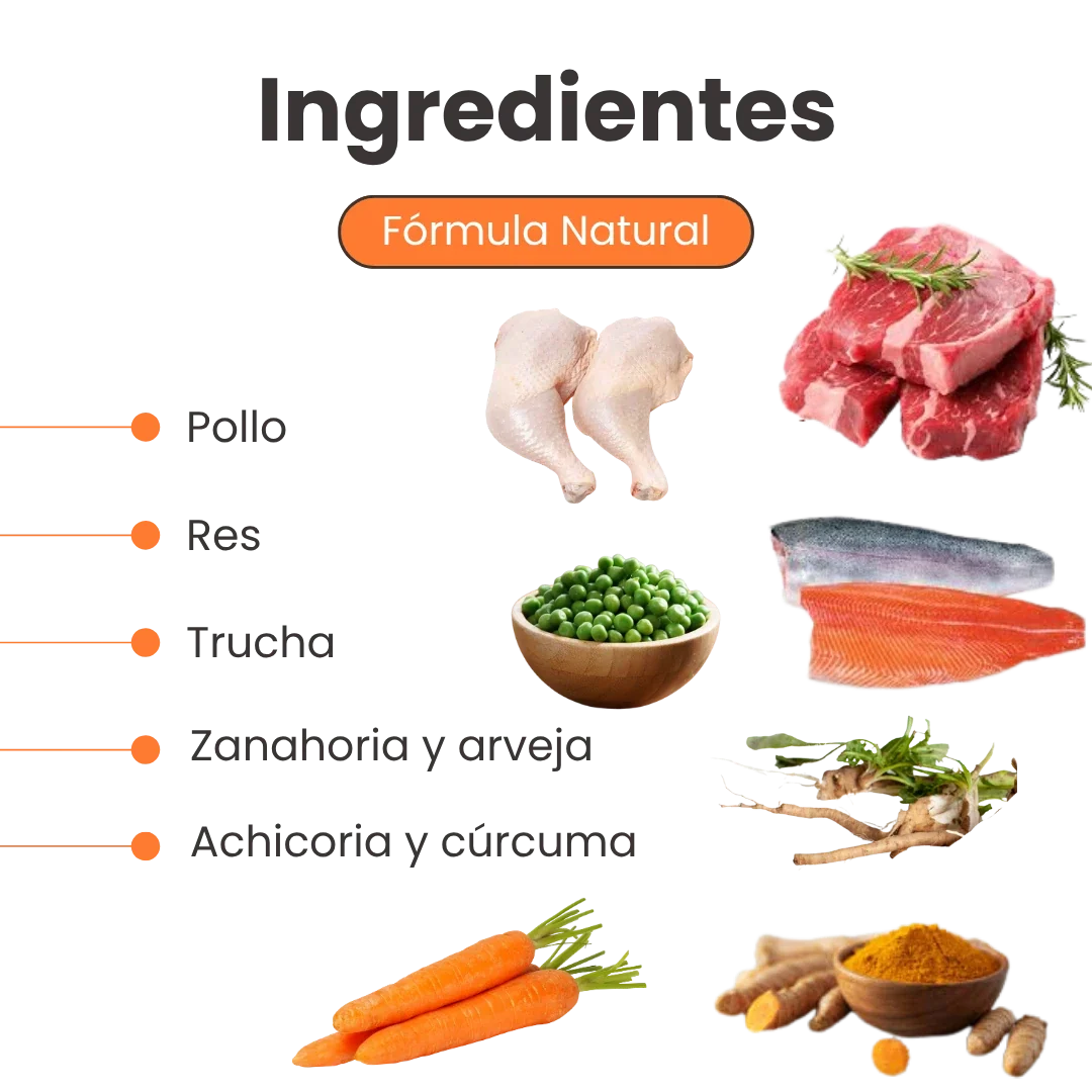 Alimento Húmedo Nativo Chef’s Recipe Yorkshire Terrier Kanu Pet para Perros