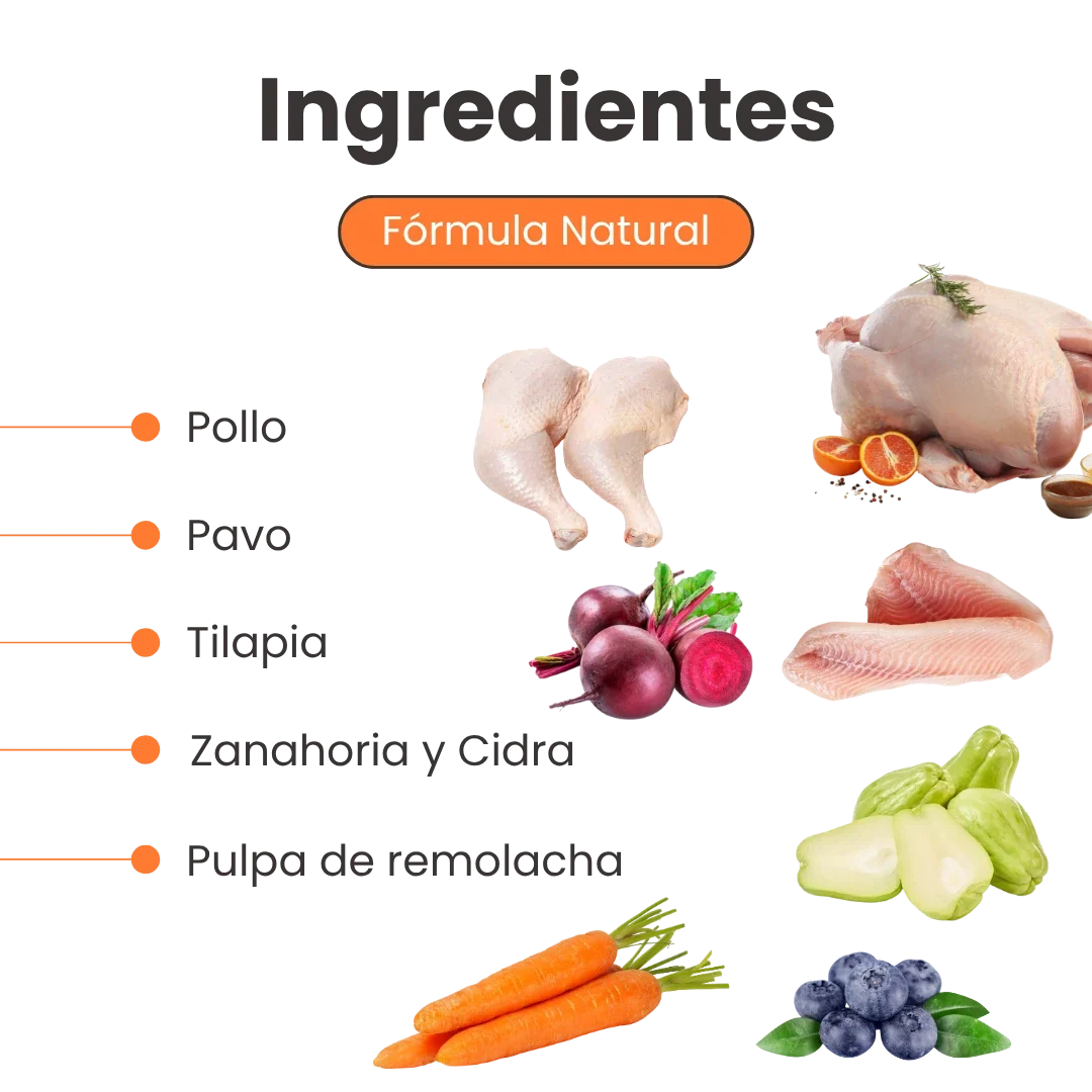 Alimento Húmedo Nativo Chef’s Recipe Hairball Control Kanu Pet para Gatos