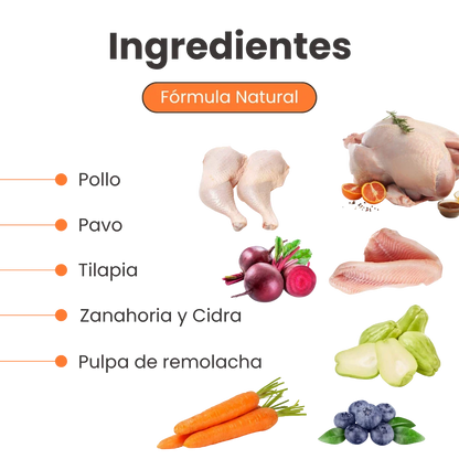 Alimento Húmedo Nativo Chef’s Recipe Hairball Control Kanu Pet para Gatos