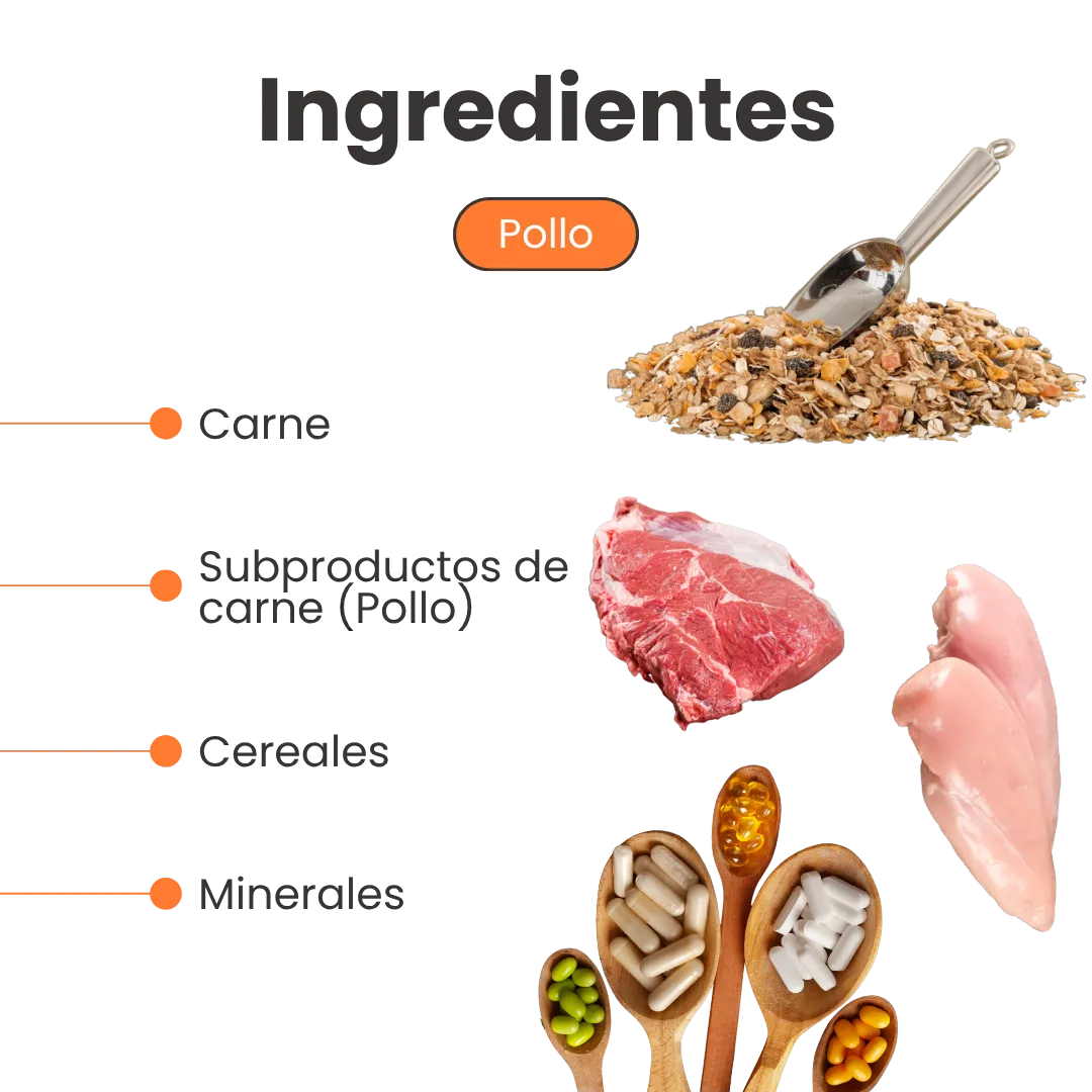 Alimento Húmedo de Pollo para Perro  Kanu Receta Con Pollo