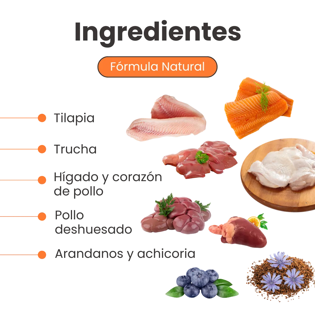 Alimento Húmedo Nativo Wild Chef’s Recipe Multi Protein Kanu Pet para Gatos