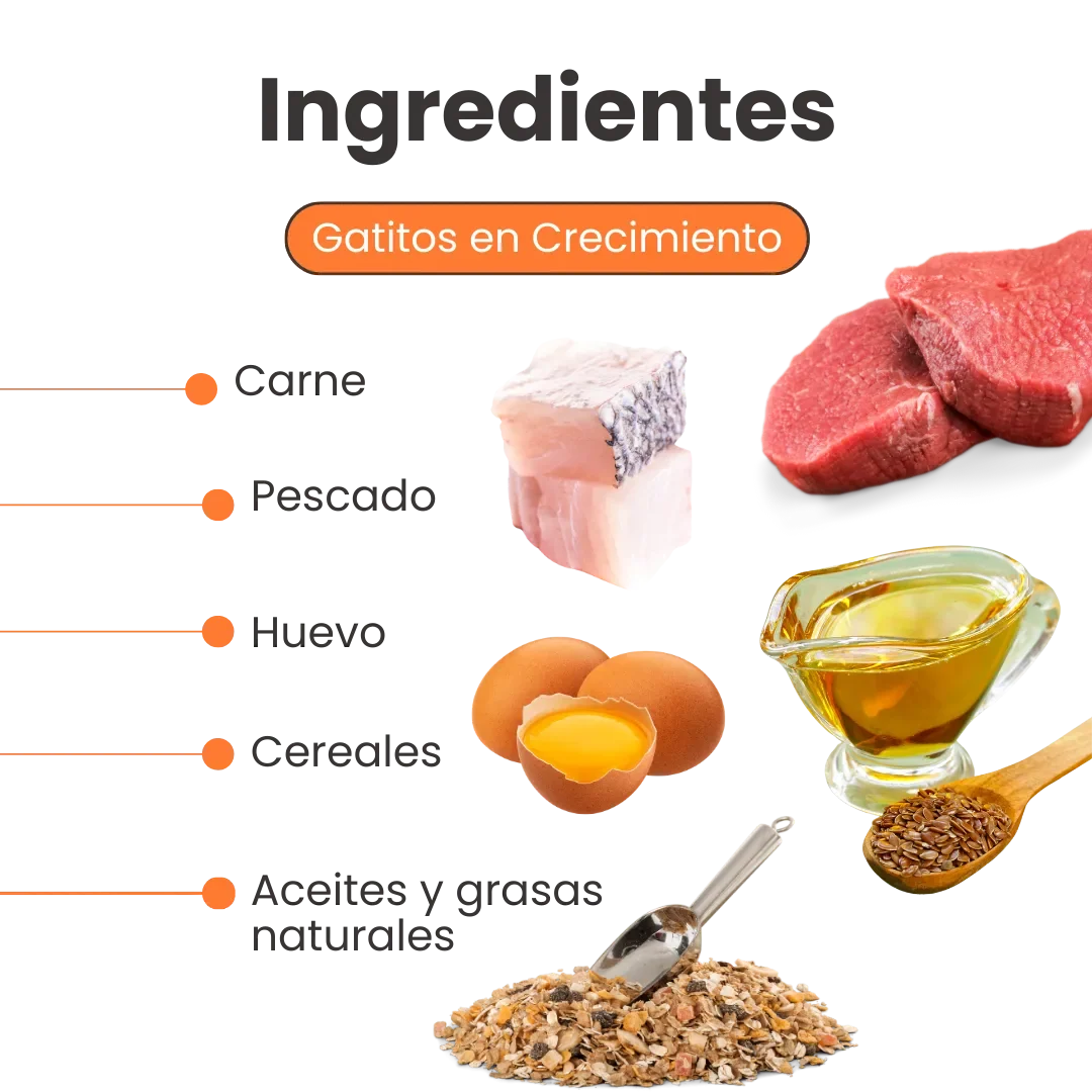 Galletas Blandas Kanu Pet Gatitos en Desarrollo y Apoyo al Crecimiento Muscular