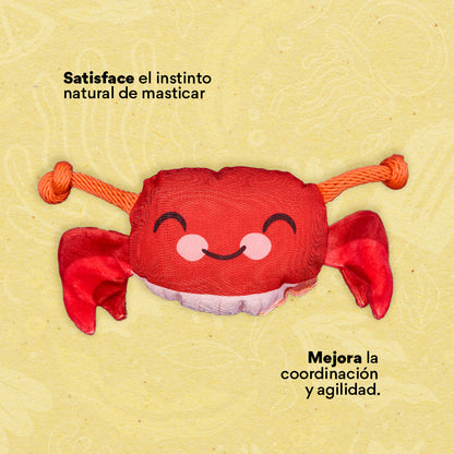 Juguete Peluche Cangrejo Mar Kanu Pet para Perro - {{ Kanu Pet }}