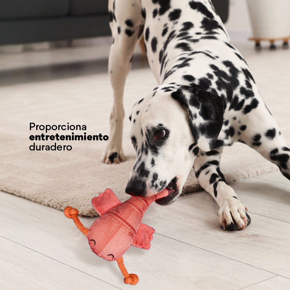 Juguete Peluche Langosta Mar Kanu Pet para Perro - {{ Kanu Pet }}