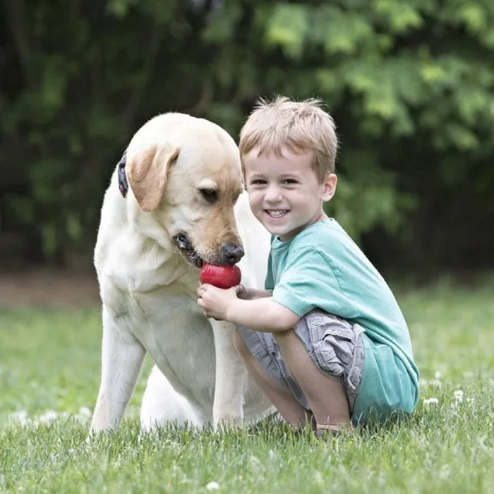 Portapasabocas kong classic para perro