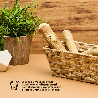 Juguete Palos de Café Kanu Pet para Perros - {{ Kanu Pet }}