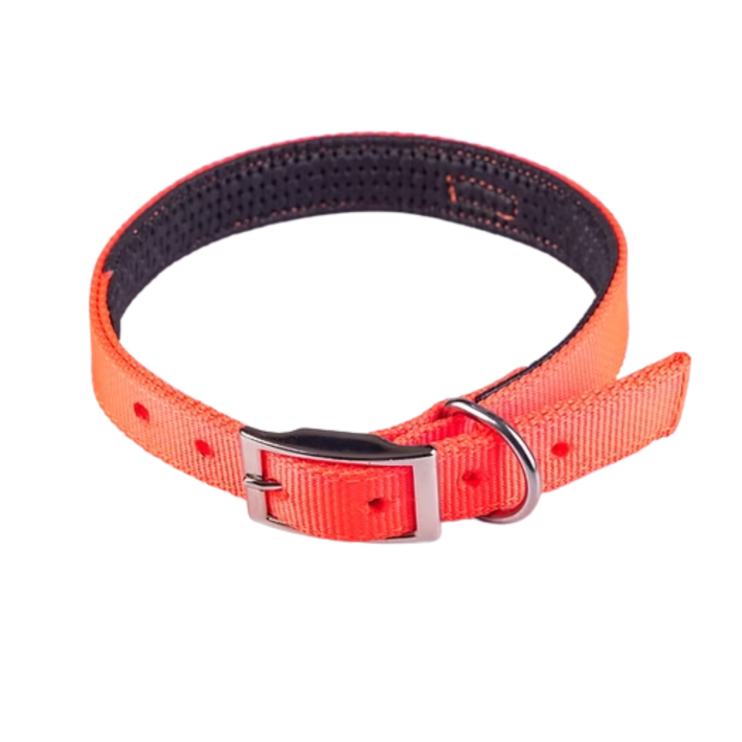 Collar Reata Altorno para Perros