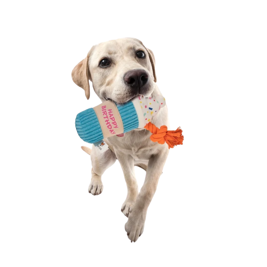 Juguete Interactivo Malteada de Cumpleaños con Cuerda Kanu Pet para Perro