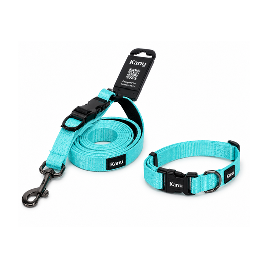 Combo Collar/Correa Azul Agumarina Kanu Pet para Perro