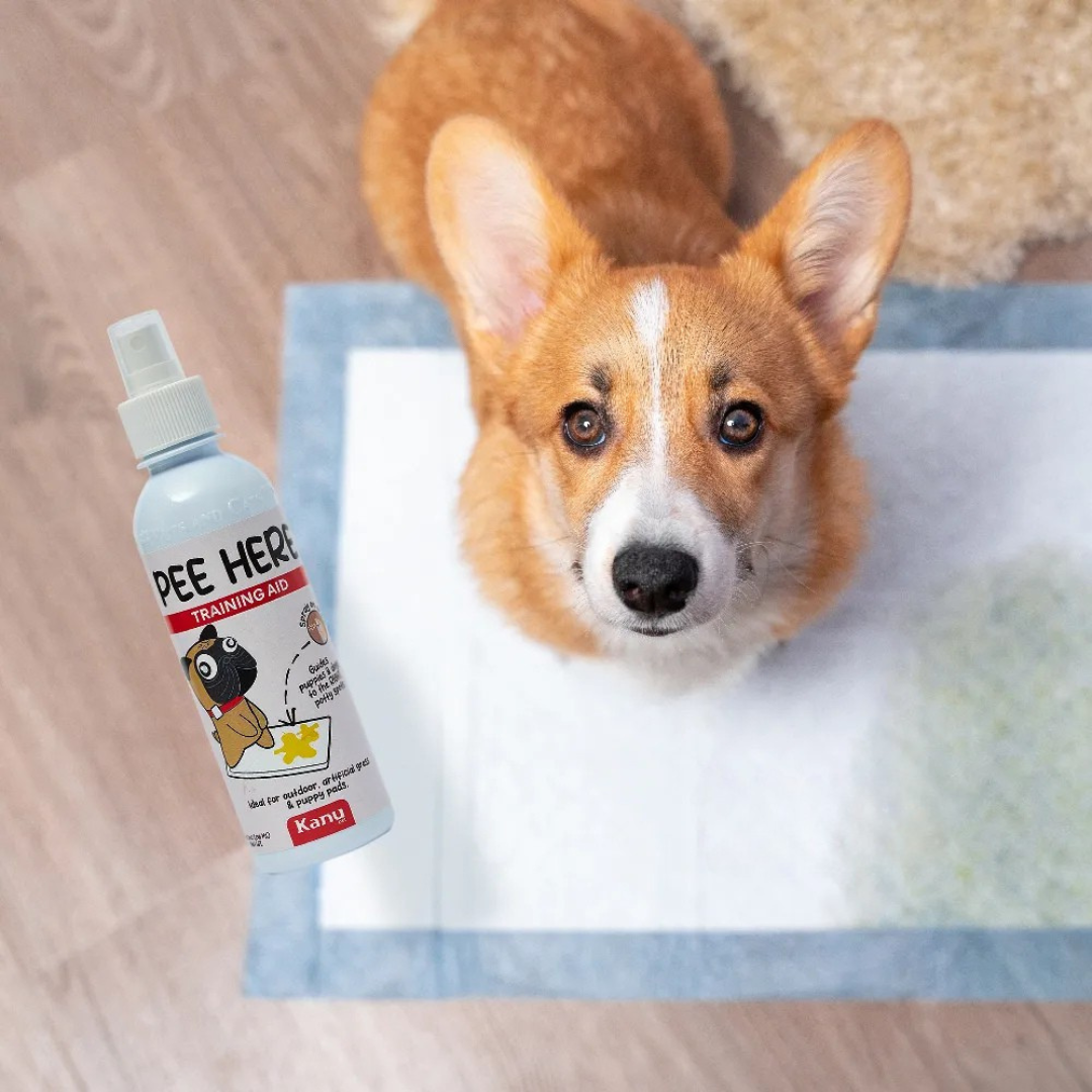 Spray de Adiestramiento Pee Here de Kanu Pet para perros y gatos 100% Natural
