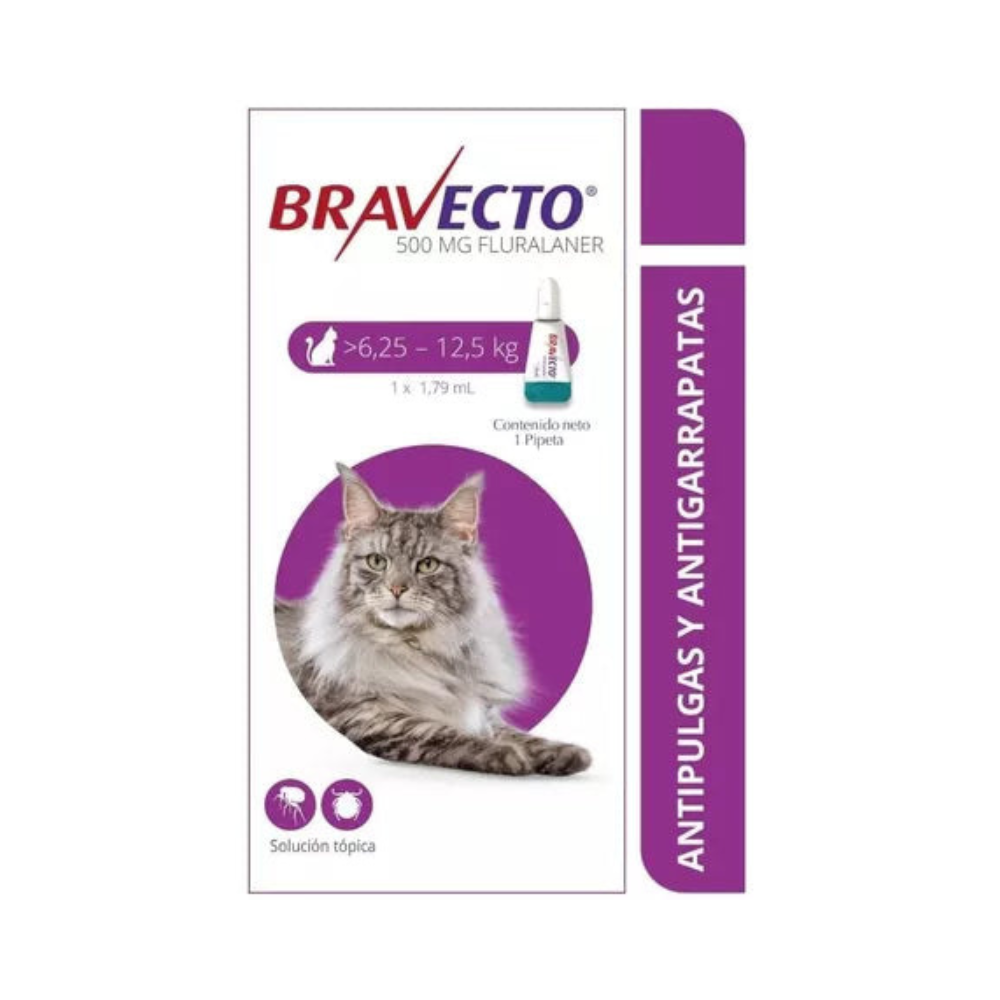 Antipulgas Bravecto Spot On para Gatos  6.2 a 12.5 KG