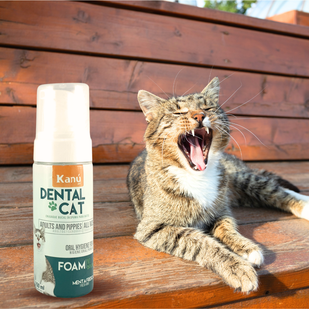 Enjuague Bucal Kanu en Espuma Menta para Gato 150 ml